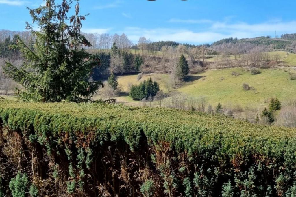 Ferienwohnung Aartalblick Willingen Willingen  Exteriér fotografie