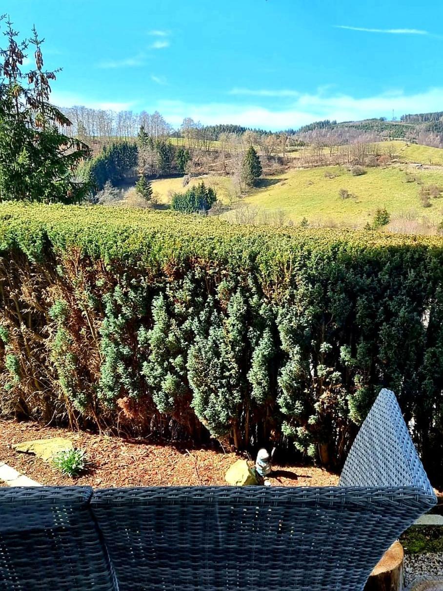 Ferienwohnung Aartalblick Willingen Willingen  Exteriér fotografie